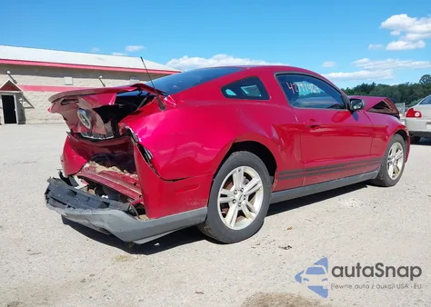 2012 Ford Mustang V6 z USA, uszkodzony, nr VIN 1ZVBP8AM8C5284518